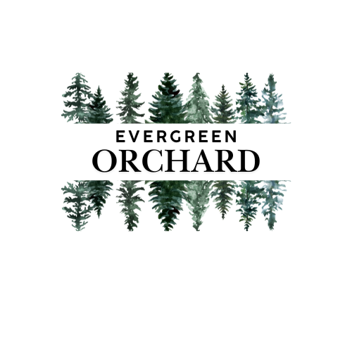 Evergreen Orchard